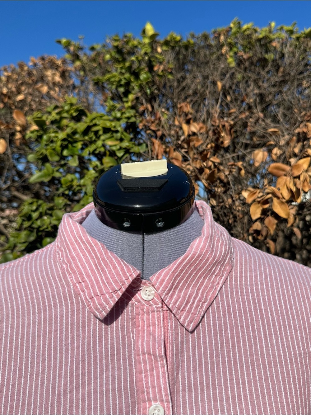Women's Pink/Red Striped Short-Sleeve Button-Down Shirt Size Large - Picture 3 of 9